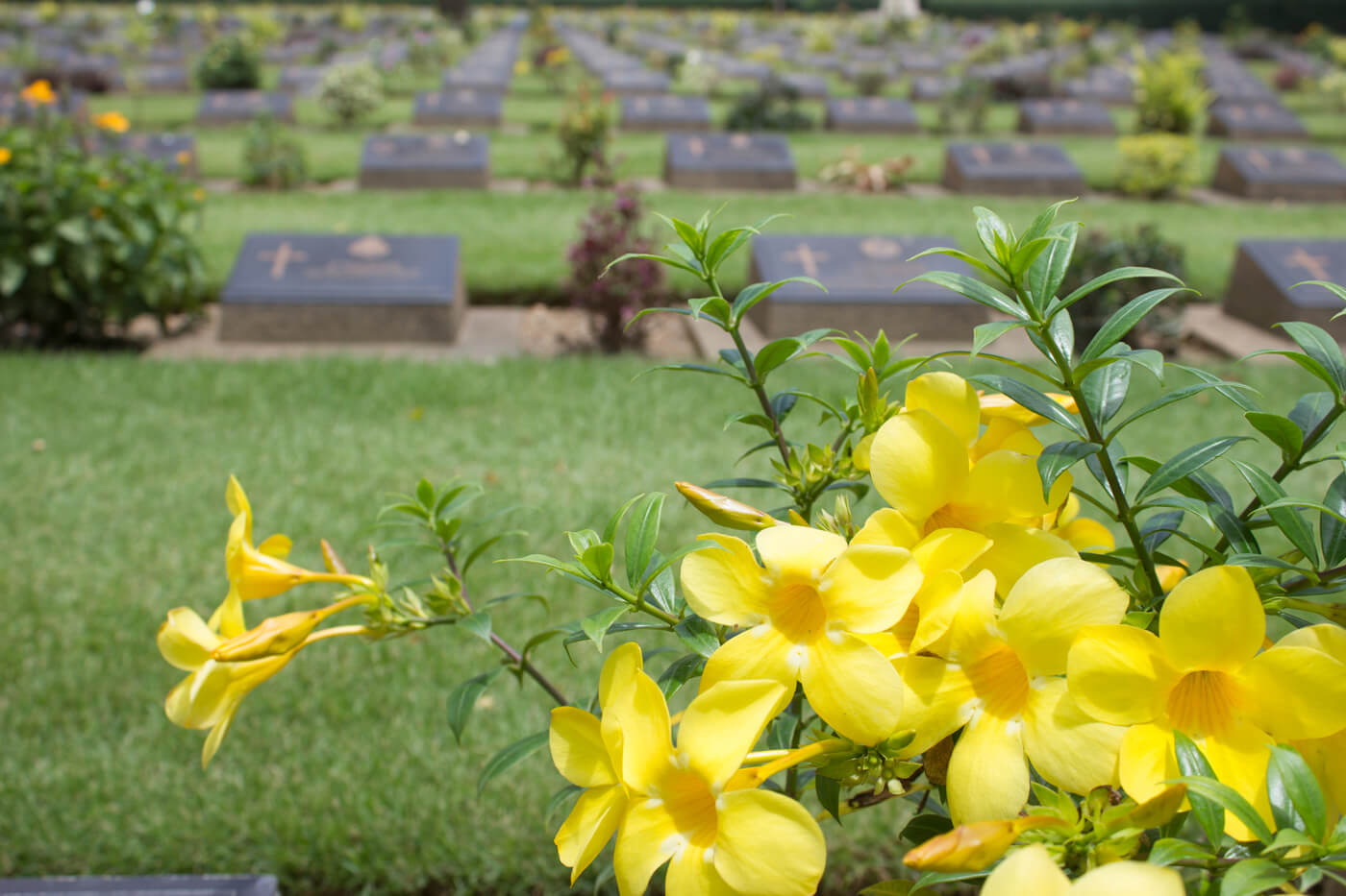 Burials Sydney